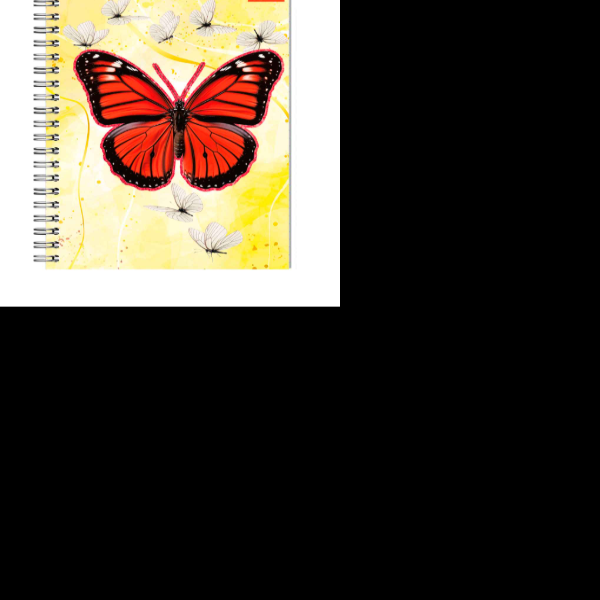 CUADERNO PROF.MARIP. EN EL CIELO DIPAK RAY ESP 100H SAM PZA